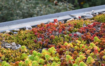 the cost of Fivecrosses green roof installation